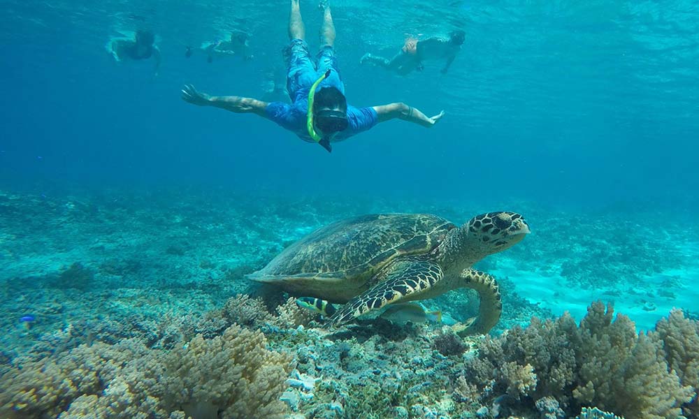 Sri Lanka beaches, snorkeling