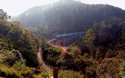 The Best Scenic Train Journeys in Sri Lanka