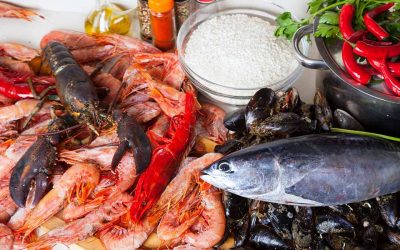Sri Lanka’s Coastal Cuisine: Seafood Tours Along the Island Paradise