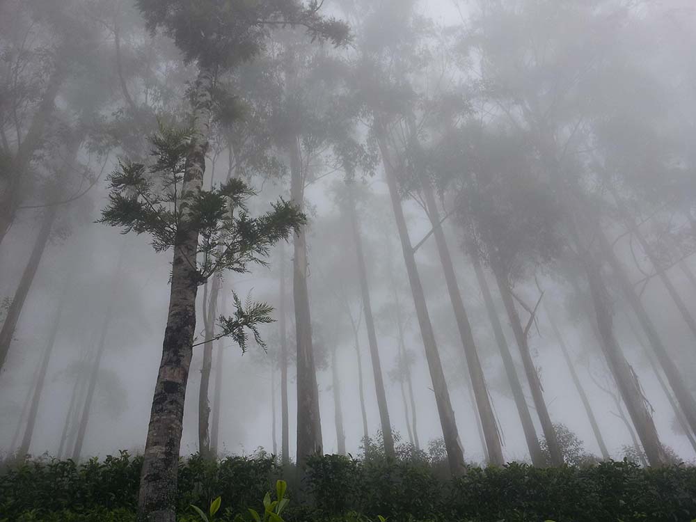 sri lanka