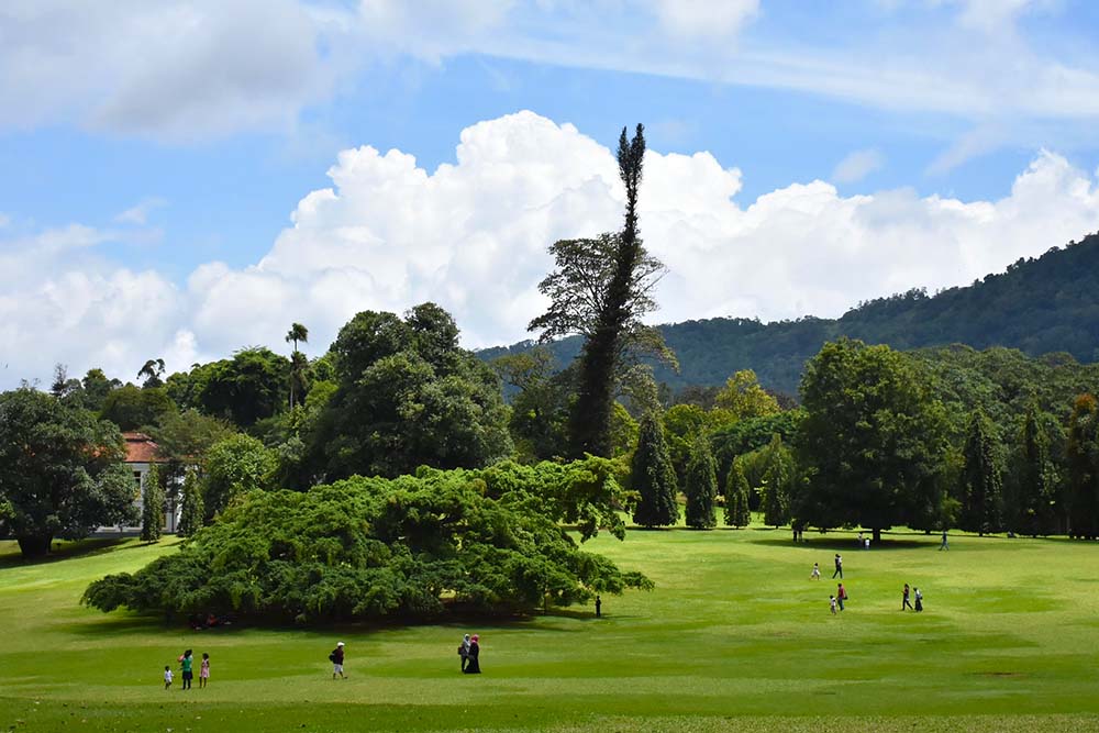 botanical gardens