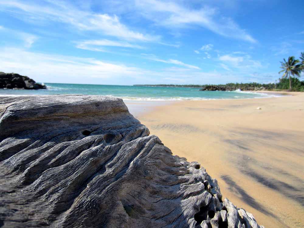 beach, sri lanka