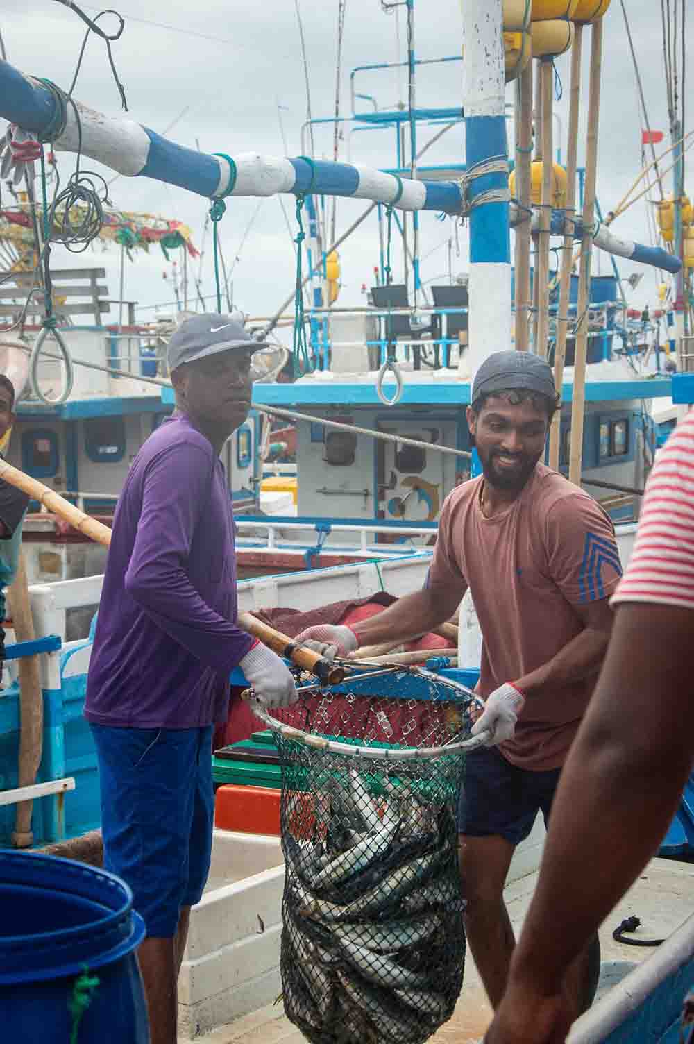 fish market