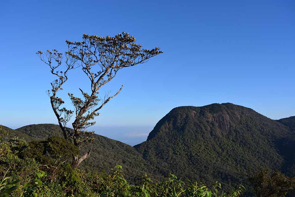 Adams peak Mountain range