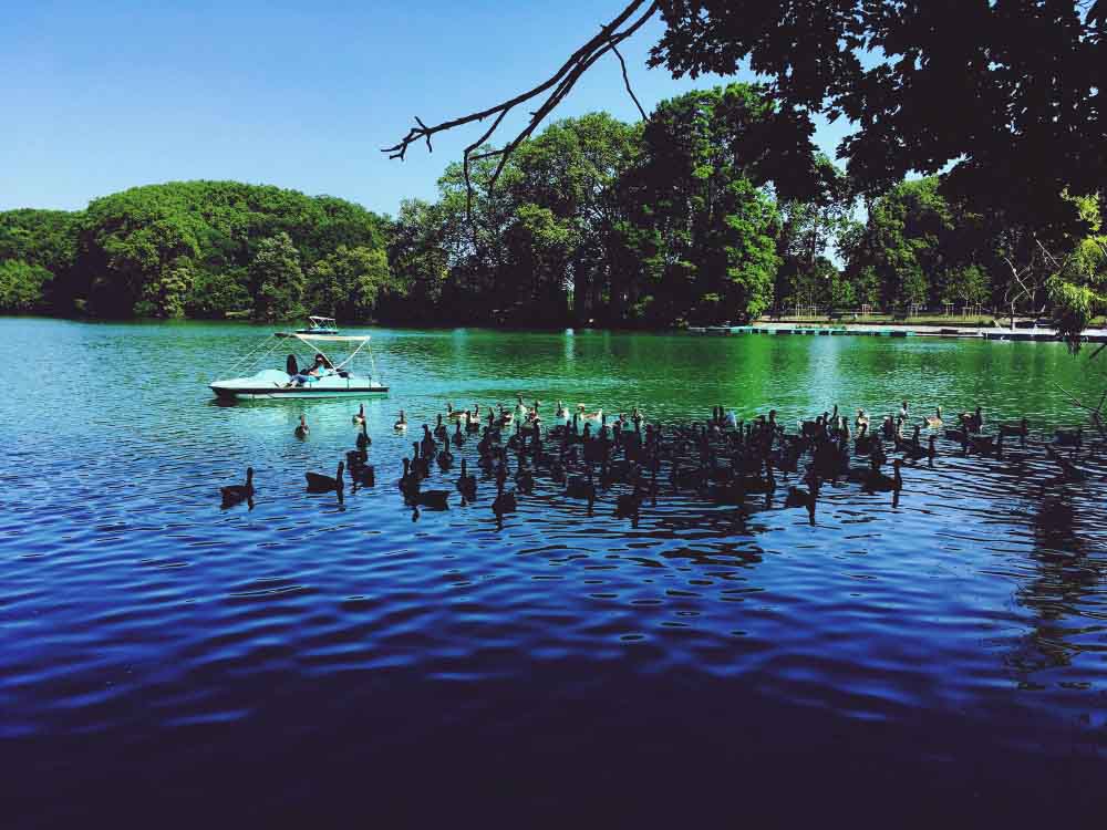 lagoon