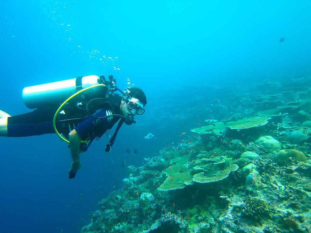 corral reef exploring