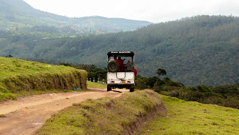 Private Exclusive Wildlife Experiences