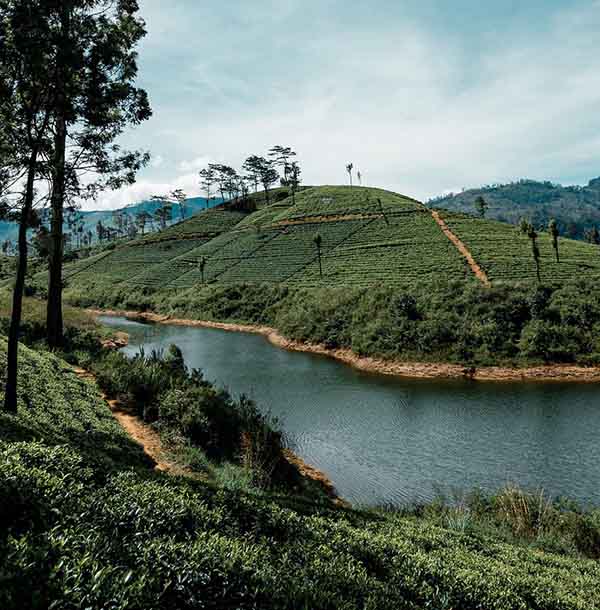 Maskeliya sri lanka