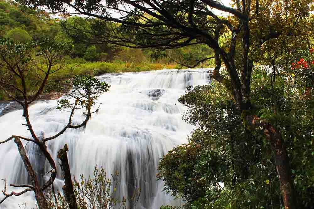 Horton plains