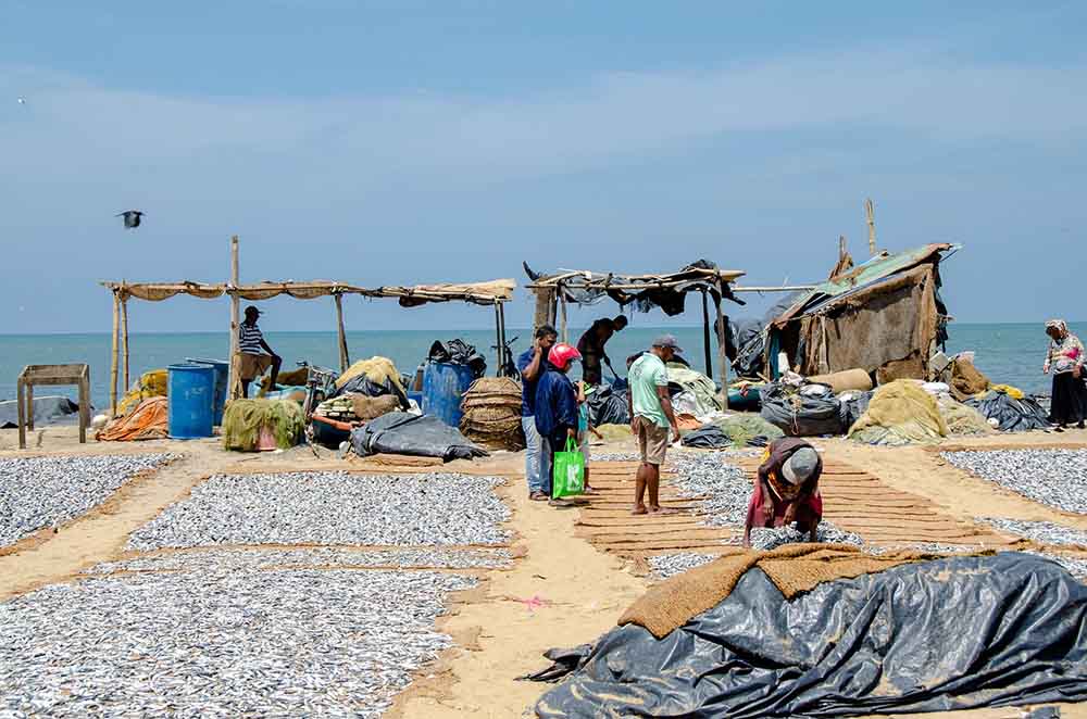 fishing shore 