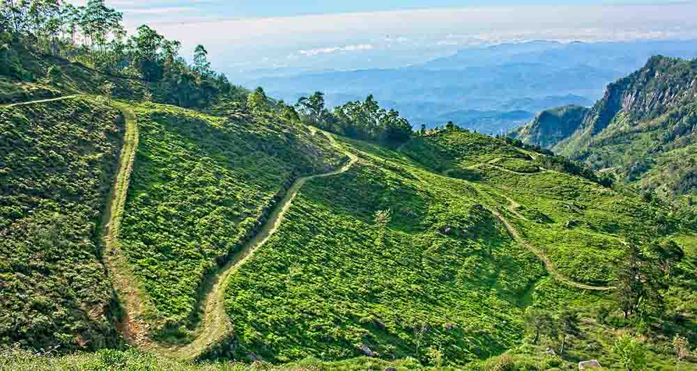 remote trails in sri lanka