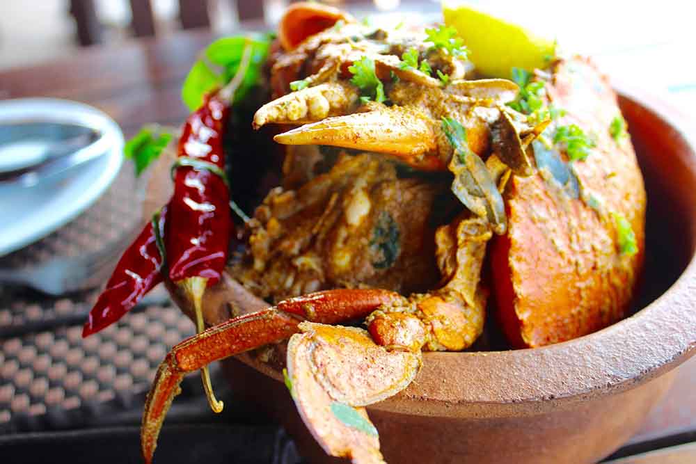 jaffna crab curry