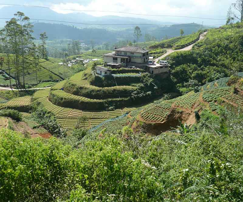 hidden villages